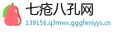 七疮八孔网